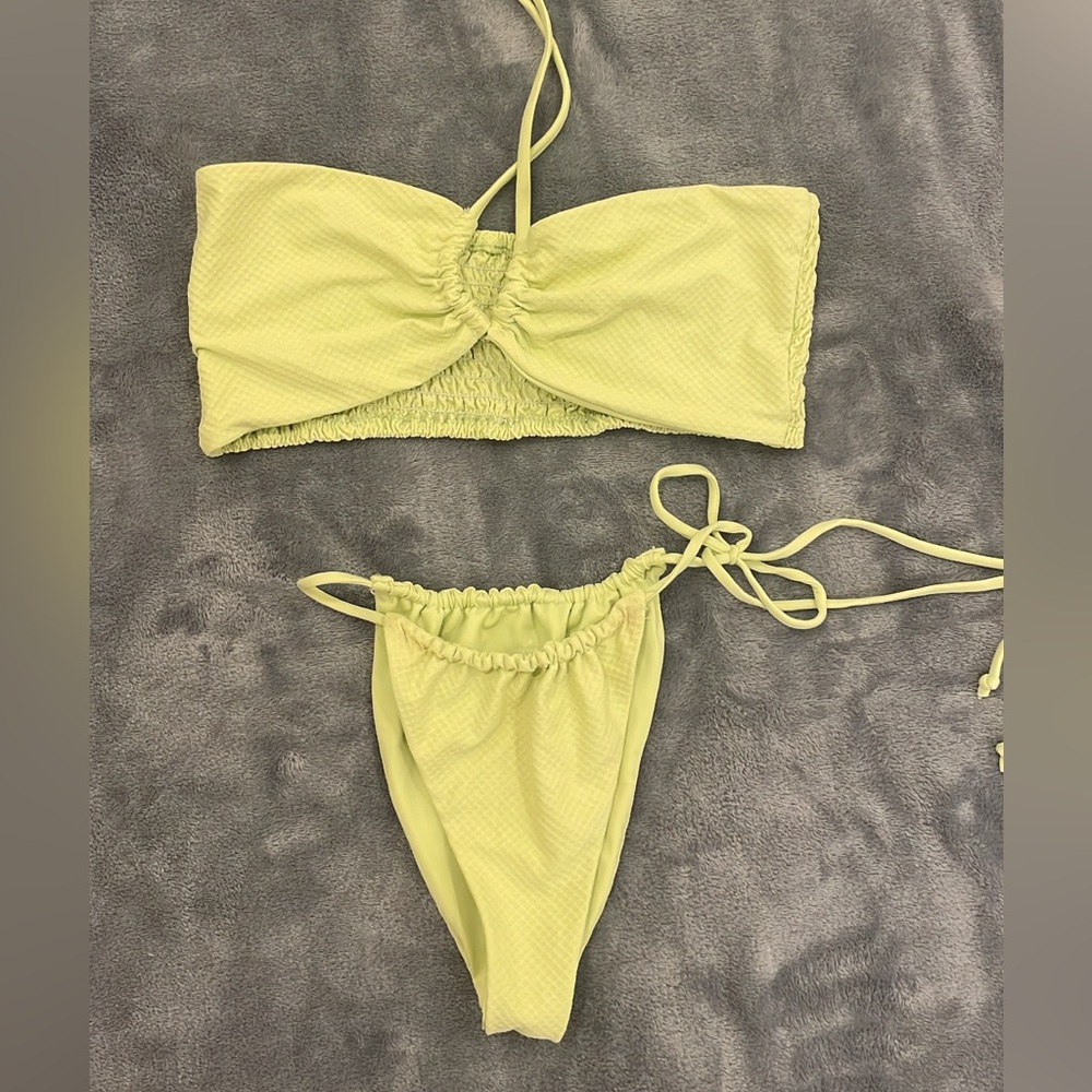 Stone fox swim